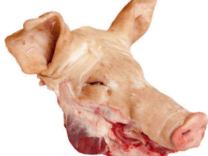 Frozen Pork Head