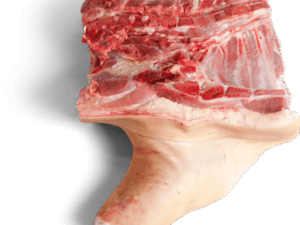Frozen Pork Fore End Without Jowl