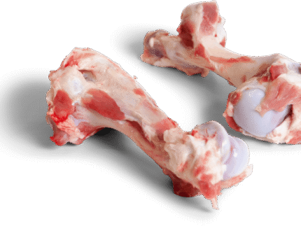 Frozen Pork Humerus Bone