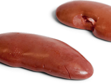 Frozen Pork Kidney