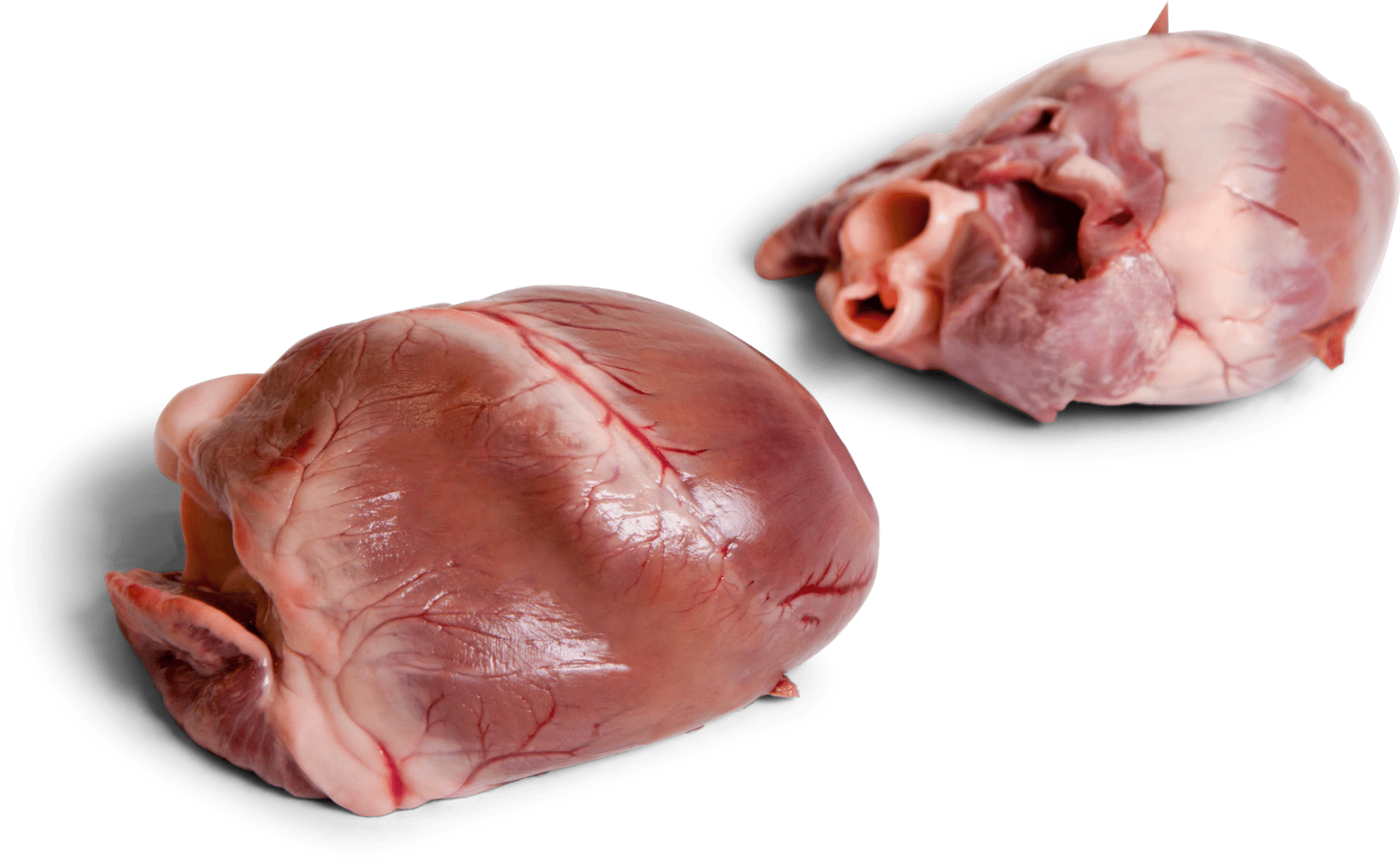 Frozen Pork Heart