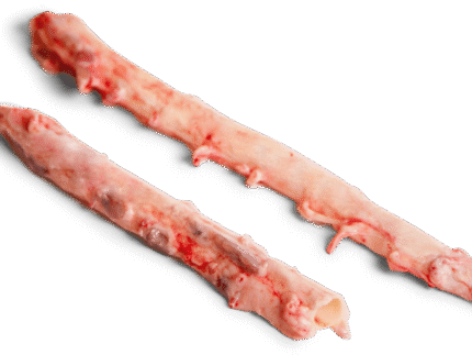 Frozen Pork Aorta