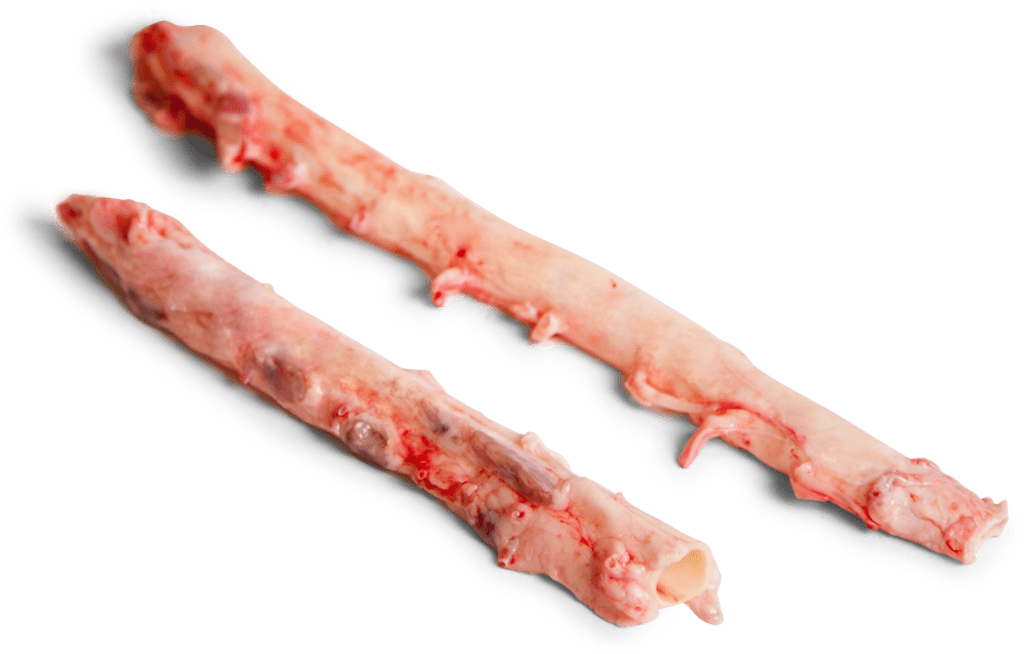 Frozen Pork Aorta