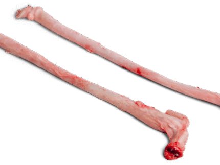 Quality Frozen Pork Penis