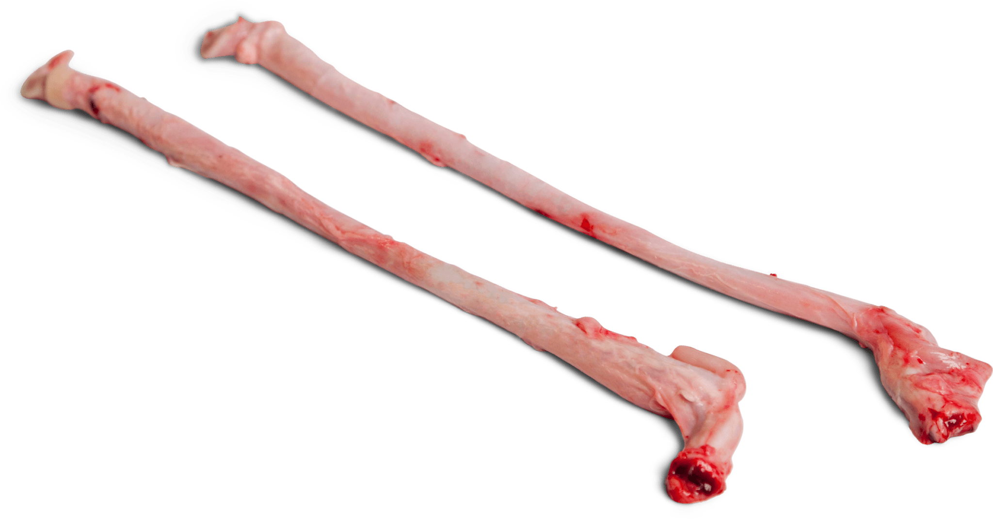 Quality Frozen Pork Penis
